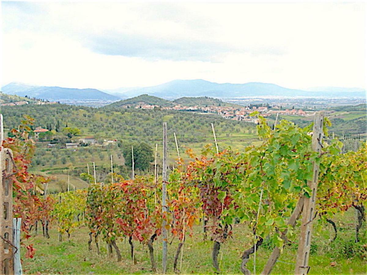 La Solaria Apartment Carmignano Bagian luar foto